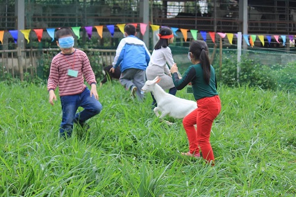 Tour du lịch trải nghiệm Nông trại Dê Trắng Farm - Hà Nội 1 ngày