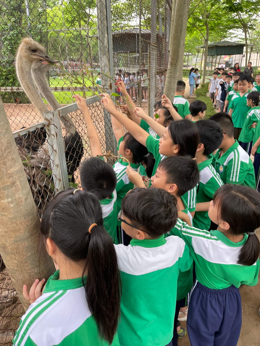 Các em học sinh tham quan vườn thú, 