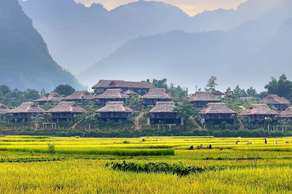 Khám phá du lịch thung lũng Mai Châu, tỉnh Hòa Bình dành cho các em học sinh tiểu học, THCS, THPT