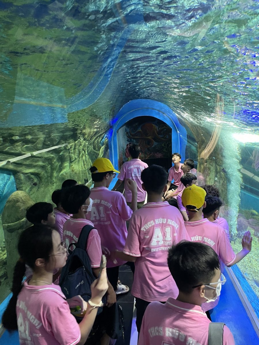 Học sinh tham quan và khám phá thủy cung tại Công viên Thiên đường Bảo Sơn